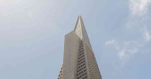 动画制作利用的运动