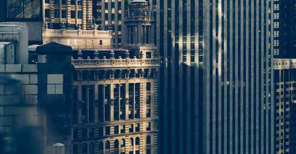 动画制作软件哪家强_动画制作软件 procreate