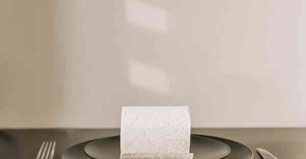 手工制作动画视频_手工制作动植物细胞模型