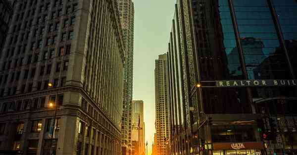 鸽血动画制作公司