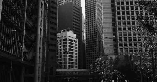 美国的动画制作团队