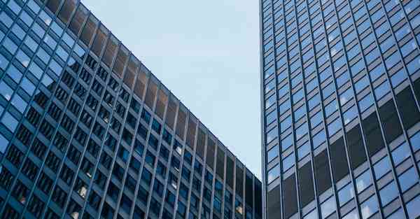 动画导演扶持计划是什么