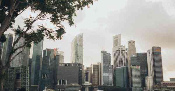 如何制作大型的动画_如何制作大型气球造型