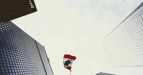 如何制作霸王龙鞍_如何制作霸王鸭