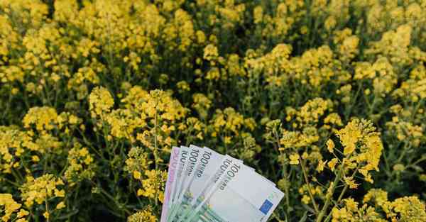 苏州专业动画制作供应