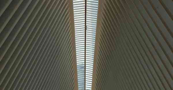 冷知识科普500字