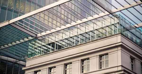 美国的动画制作团队