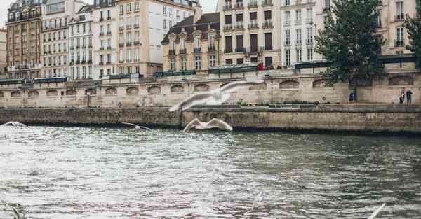 动画温馨提示制作视频