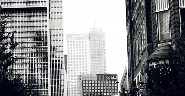 完美世界动画制作公司叫什么名字