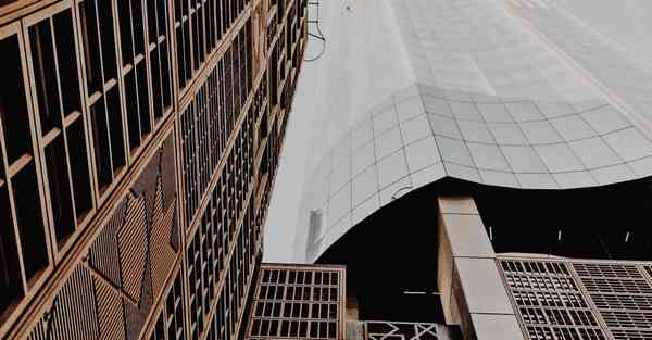 动画制作利用的运动