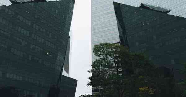 广东专业动画制作公司_广东专业动画制作