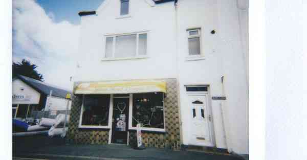 动画制作收益展示图