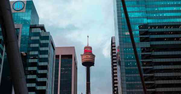 视频动画制作公司收费