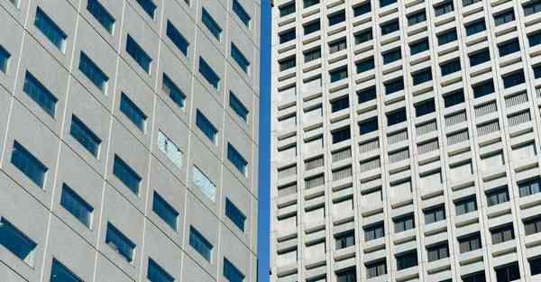 完美世界动画制作公司叫什么名字