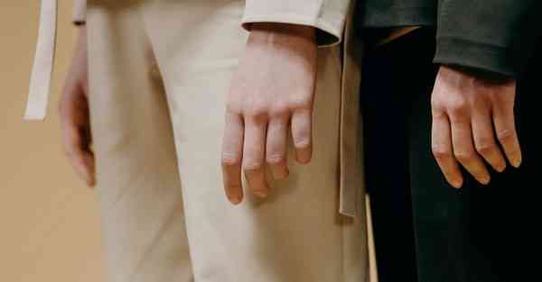 视频动画和制作软件