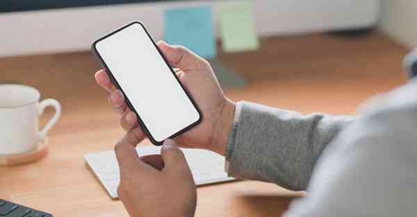 动画制作团队有那些_动画制作团队怎么接单