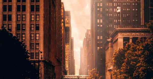 动画制作需要学会什么_动画制作需要学习什么科