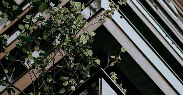 动画制作A到B_动画制作app苹果