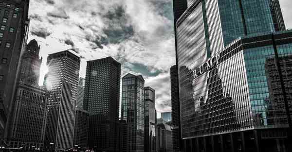 动画制作微生物_动画制作图片